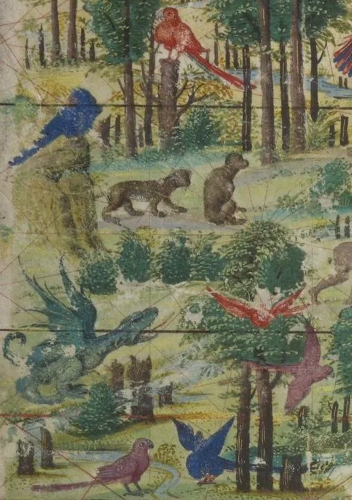 Detalhe do Atlas Miller com aves coloridas e árvores da Terra Brasilis