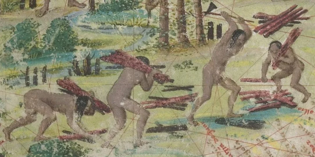 Detalhe do mapa Terra Brasilis do Atlas Miller, com indígenas extraindo pau-brasil