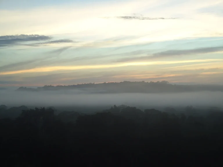 Neblina sobre a copa das árvores da Floresta Amazônica
