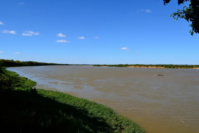 Rio São Francisco largo e de águas barrentas sob céu azul, com vegetação nas margens, em Januária