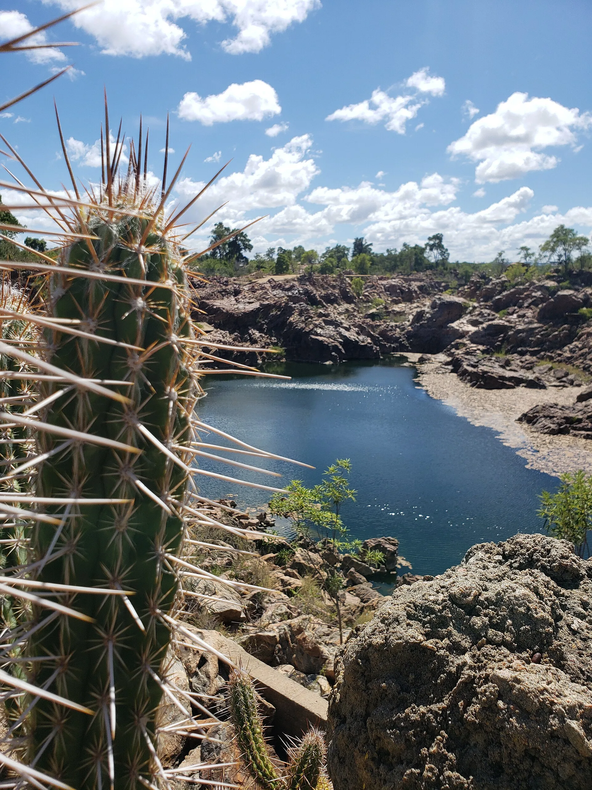 Mandacaru em primeiro plano diante de um cânion de pedras com o Rio São Francisco ao fundo